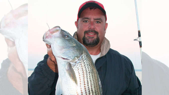 stripers