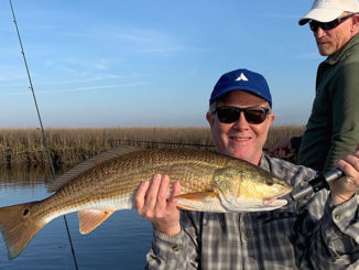 redfish