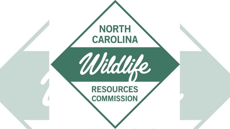 regulation changes