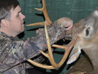 deer antler scoring
