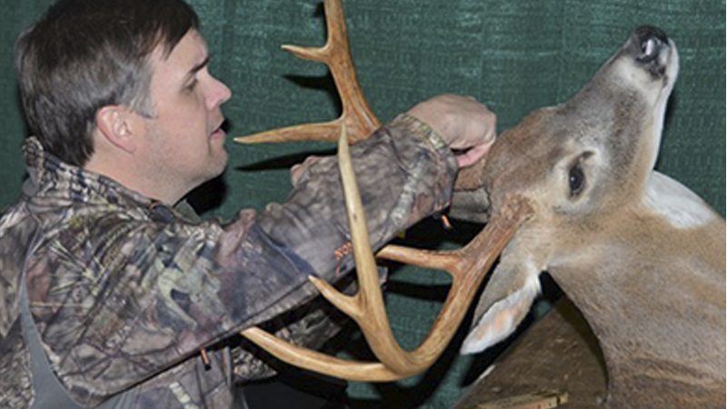 deer antler scoring