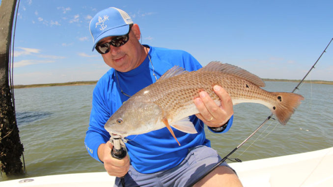Redfish in surf are top target for NC saltwater anglers in February -  Carolina Sportsman