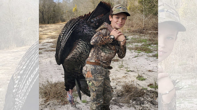 gobbler