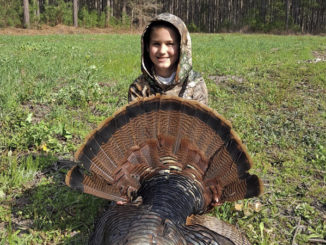 gobbler