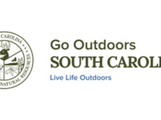 Go Outdoors