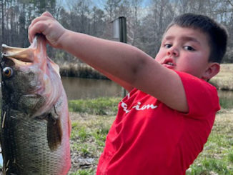 bass