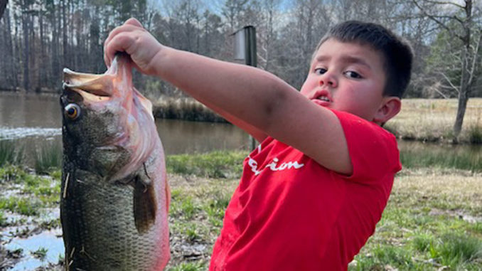 bass