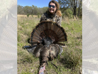 19.6-pound turkey