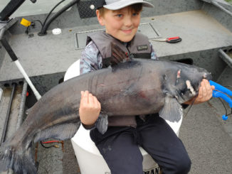 catfish