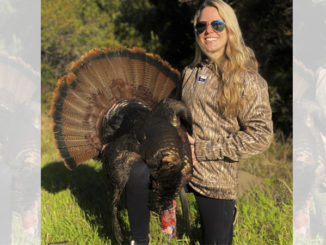 19-pound gobbler