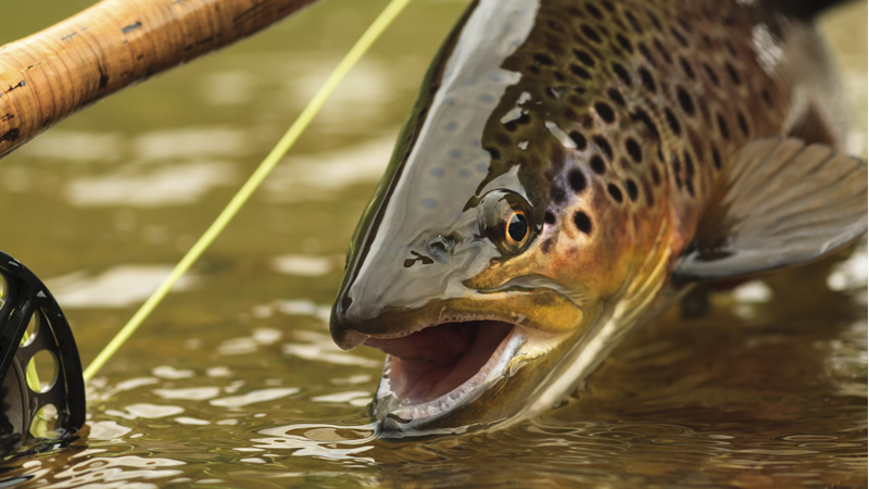 Pechmann Fishing Education Center