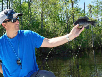 bream