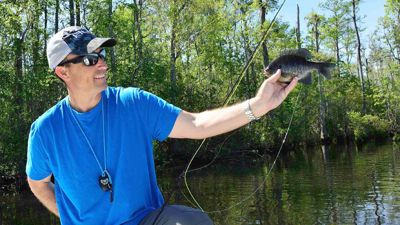 bream