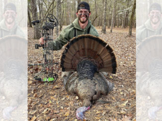 longbeard