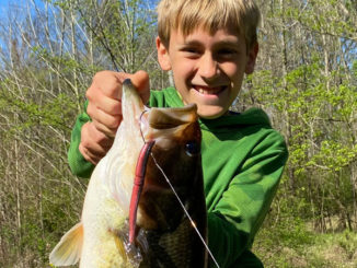 bass