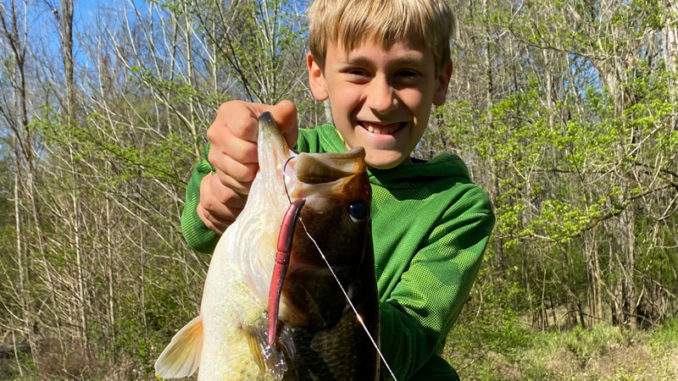 bass