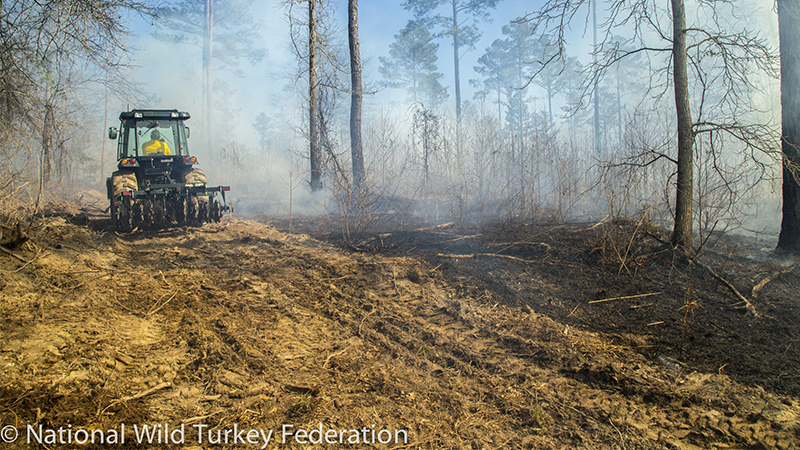 prescribed fire