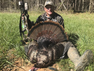 turkey hunt