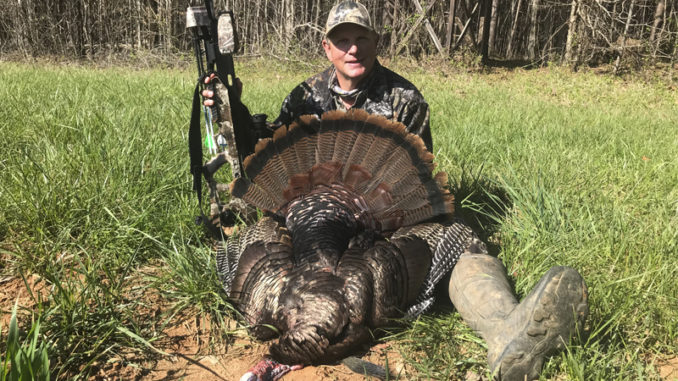 turkey hunt