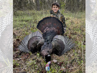 turkey