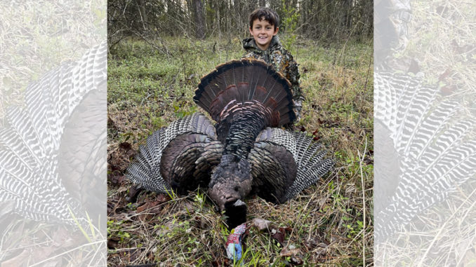turkey