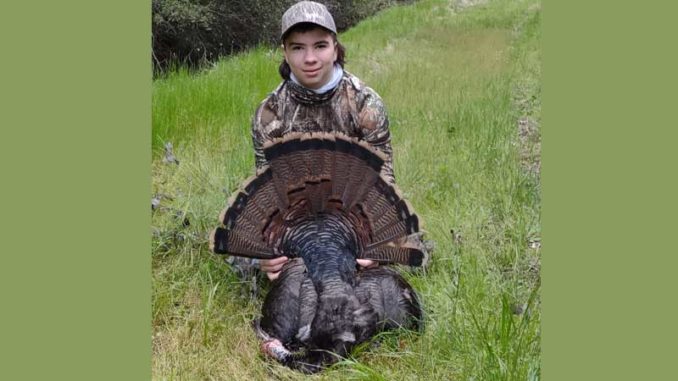 gobbler