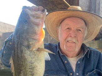 largemouth bass