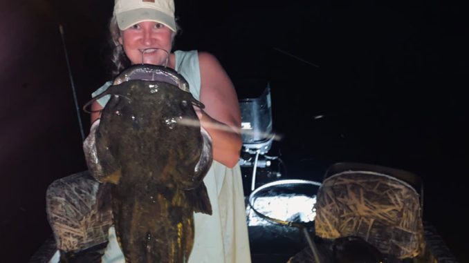 catfish