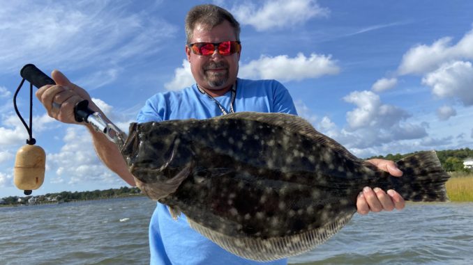flounder