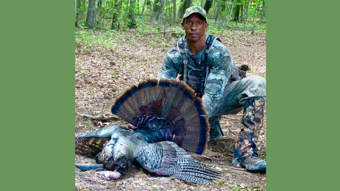 gobbler