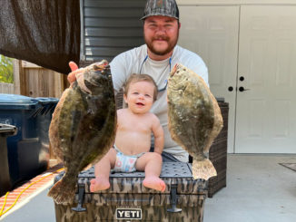 flounder