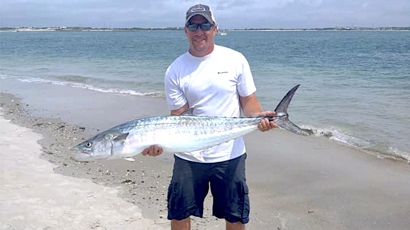 king mackerel