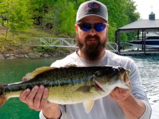 bass