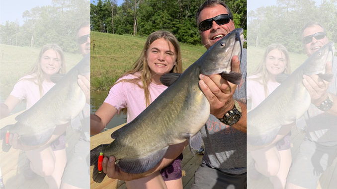 catfish