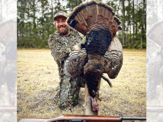 gobbler