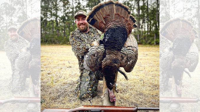 gobbler