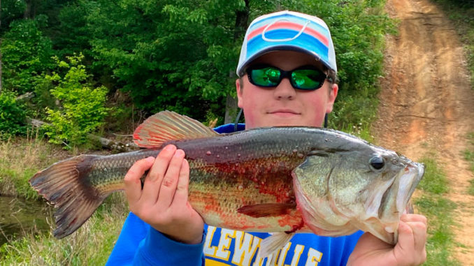 bass