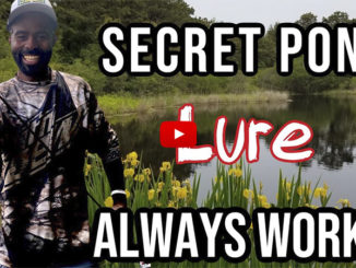 secret pond lure