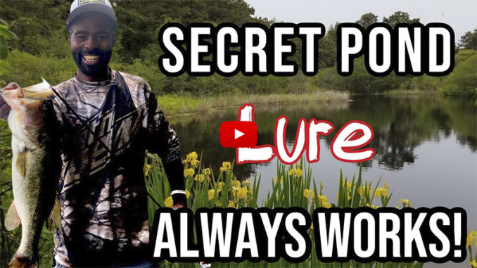 secret pond lure