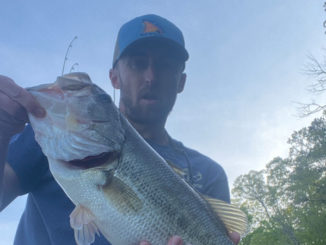 bass
