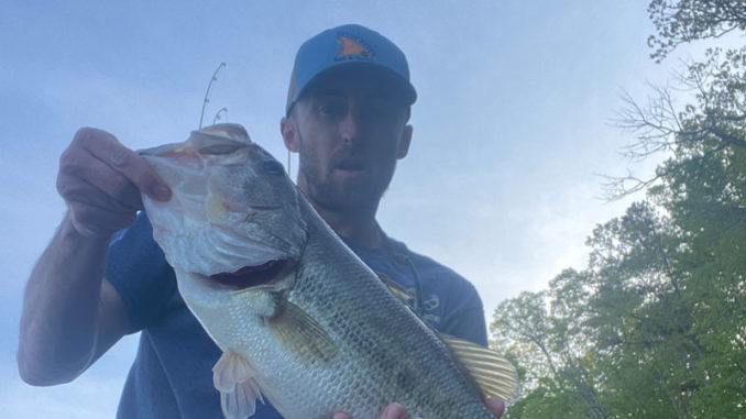 bass