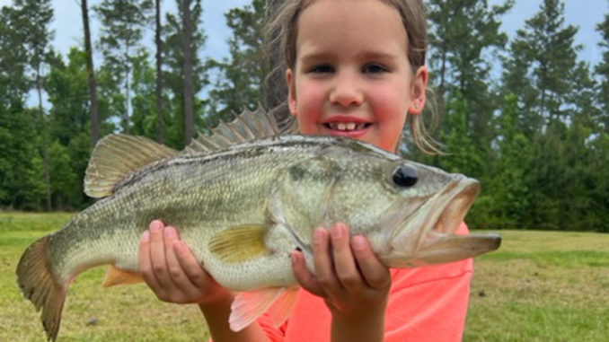 bass
