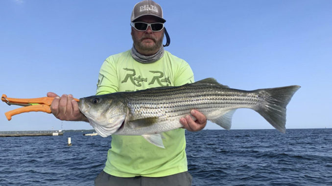 striper