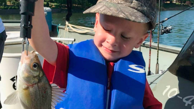 white perch