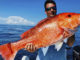 red snapper