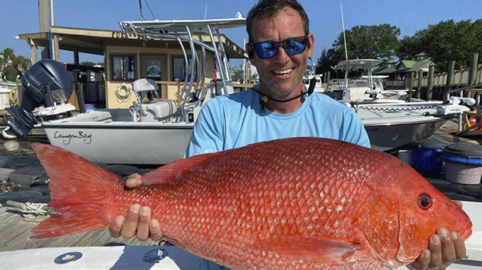 red snapper