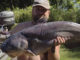 Wateree River catfish