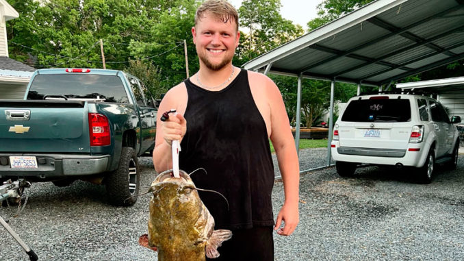 catfish