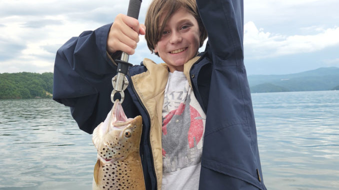brown trout