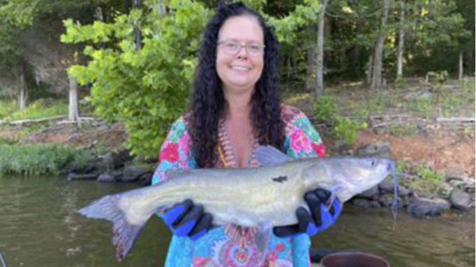 catfish